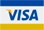 payment visa